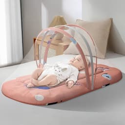 Bed with Mosquito Net