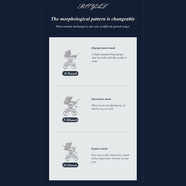 Premium Baby Stroller Features