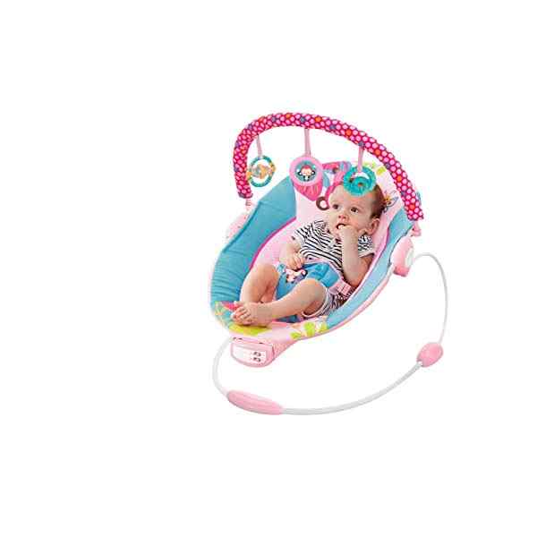 Rocker Bouncer Musical