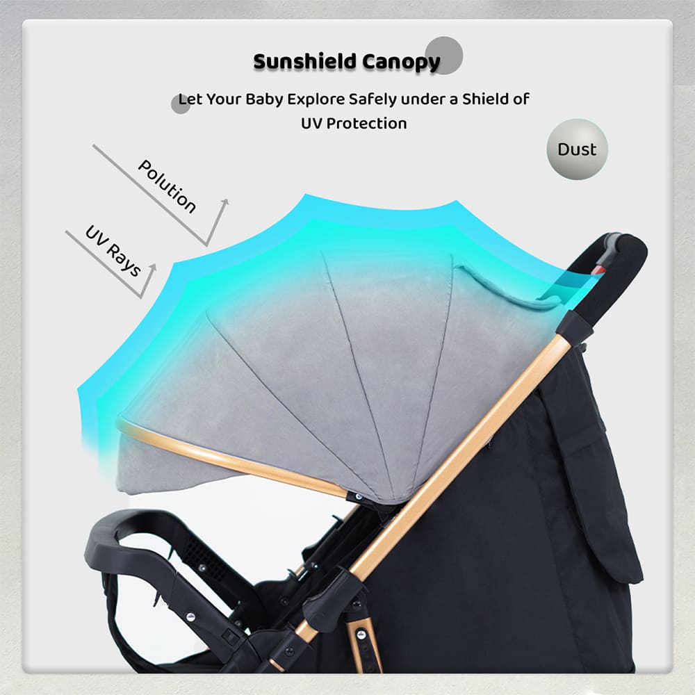 Compact and Foldable Cabin Stroller for Easy Travel