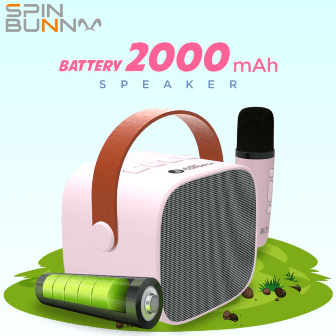 Portable Speaker Pink