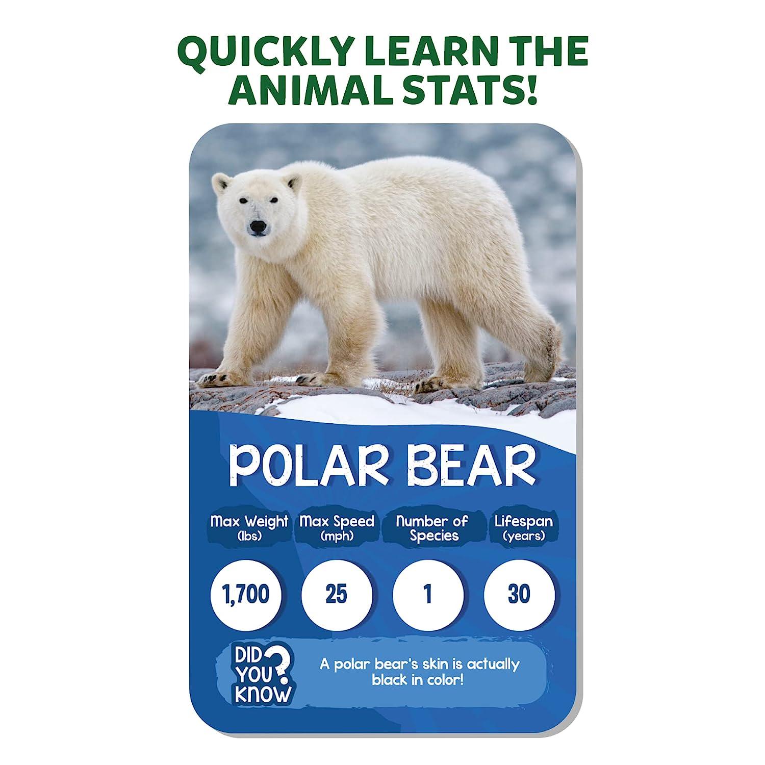 Quickly Learn Animal Stats