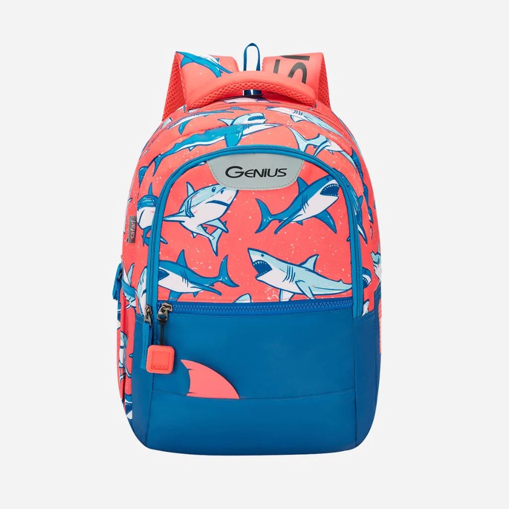 kids school bag