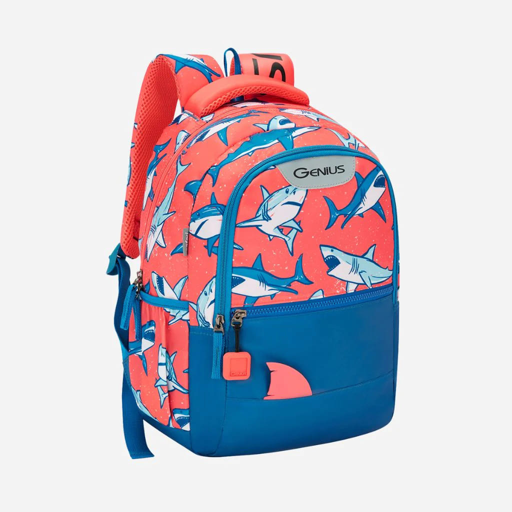 kids school bag