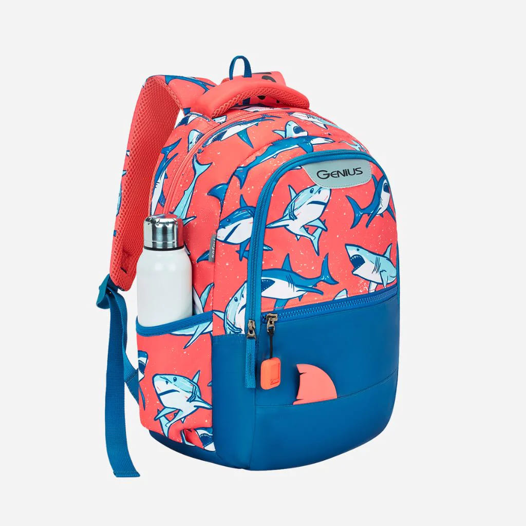 kids school bag