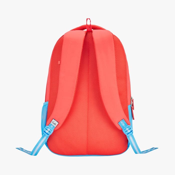 Stylish School Bags for Kids