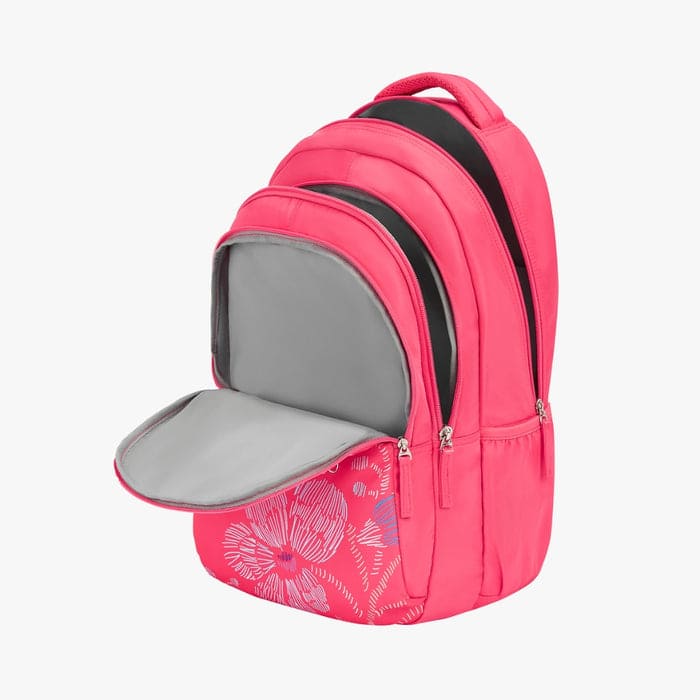 Stylish School Bags for Kids