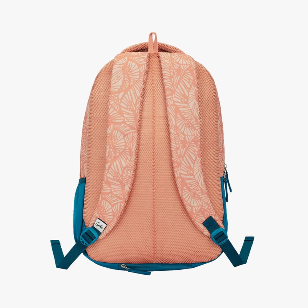 Kids School Bags