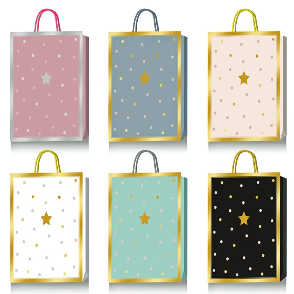 Star Metalic Paper Bag For All
