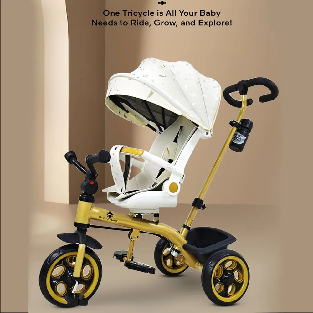 Kids Tricycle