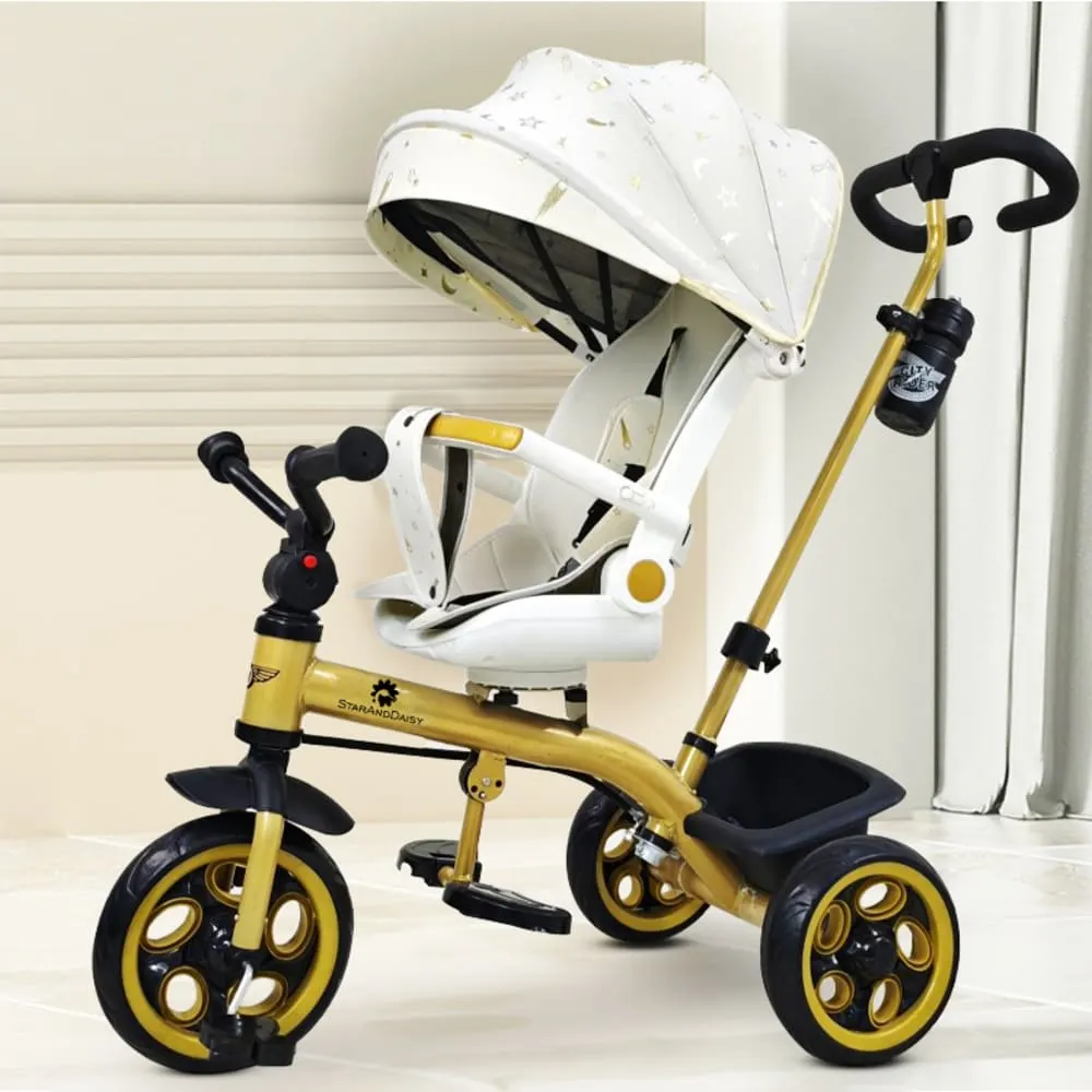 Best Kids Tricycle