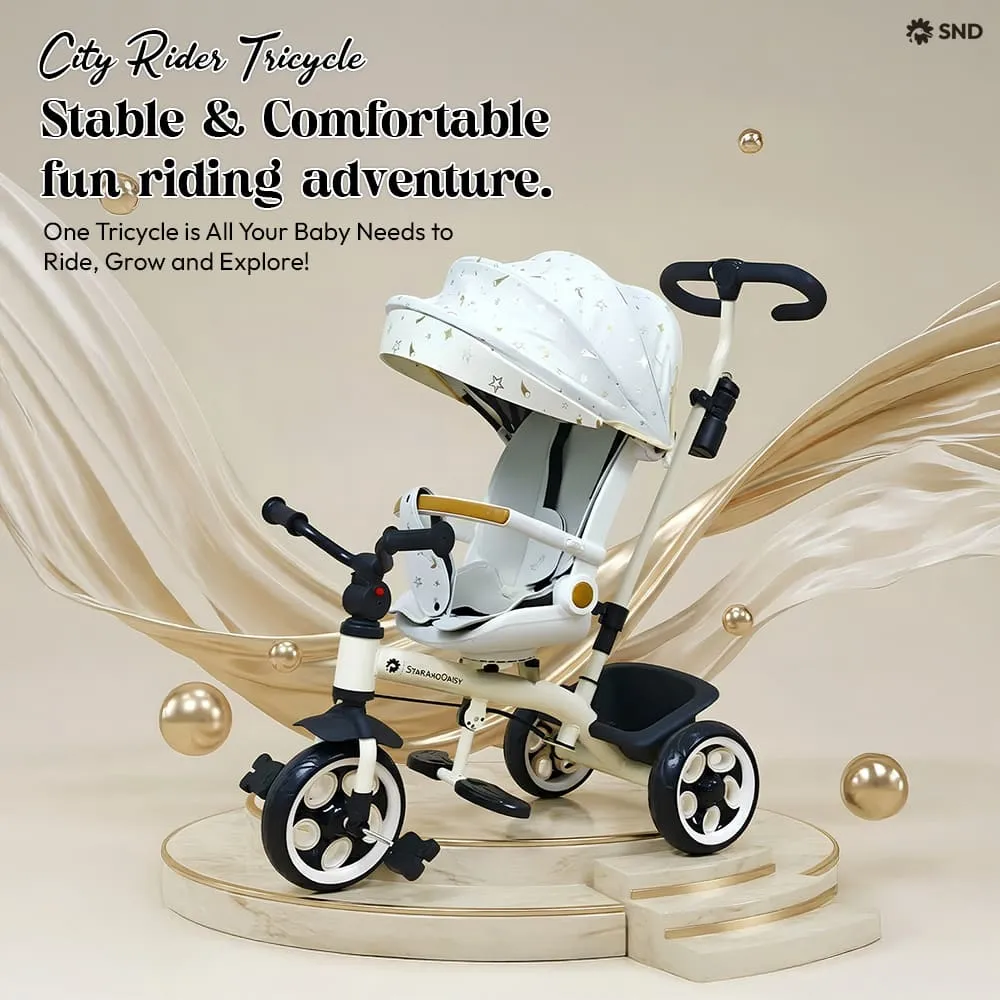 comfortable tricycle city rider