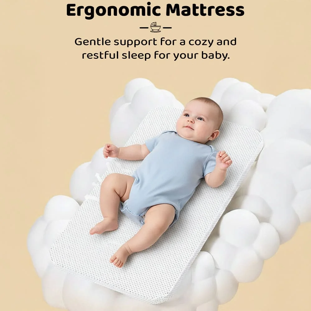 4 in 1 Electric Cradle