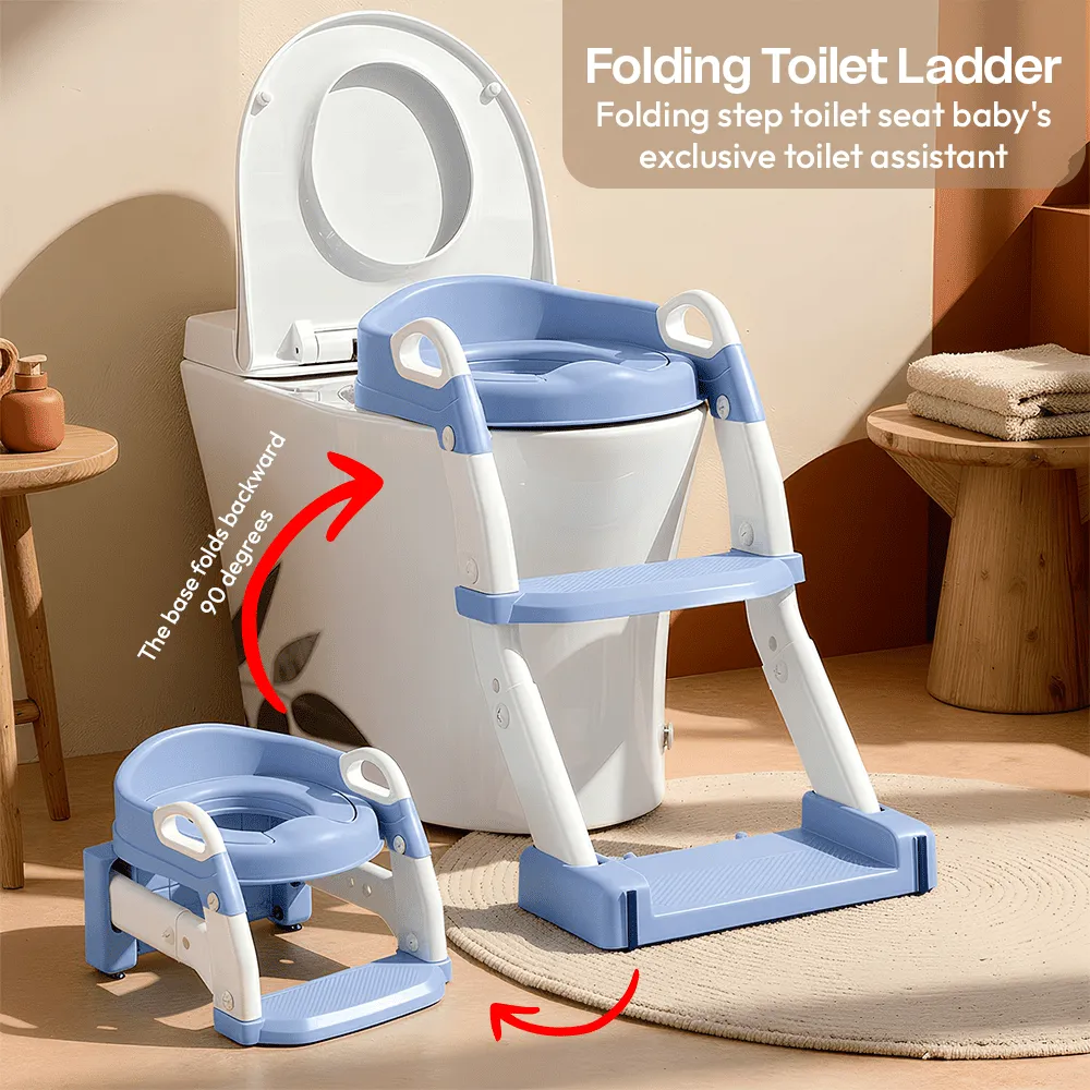 Potty seat ladder