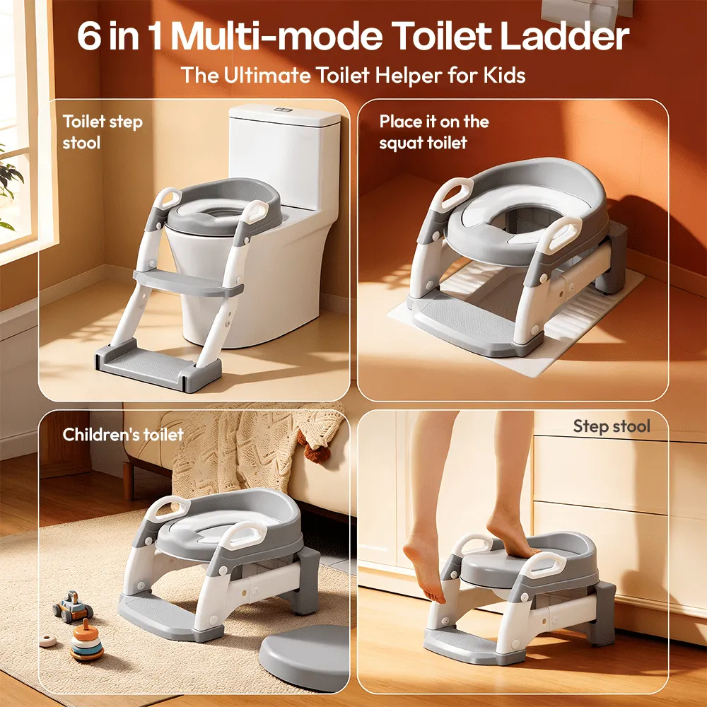 Potty seat ladder