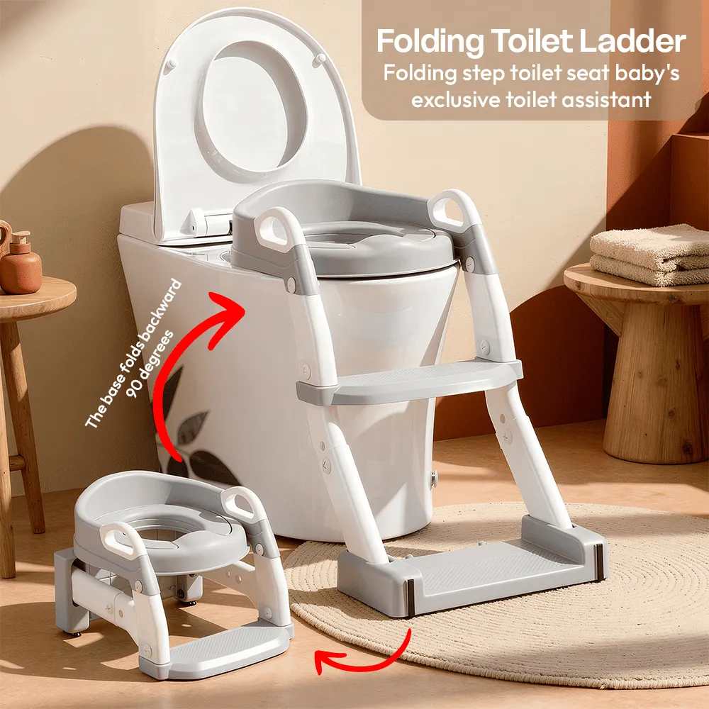 Potty seat ladder