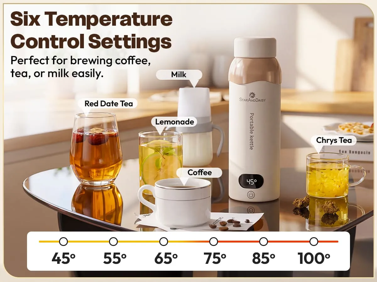 Electric Kettle