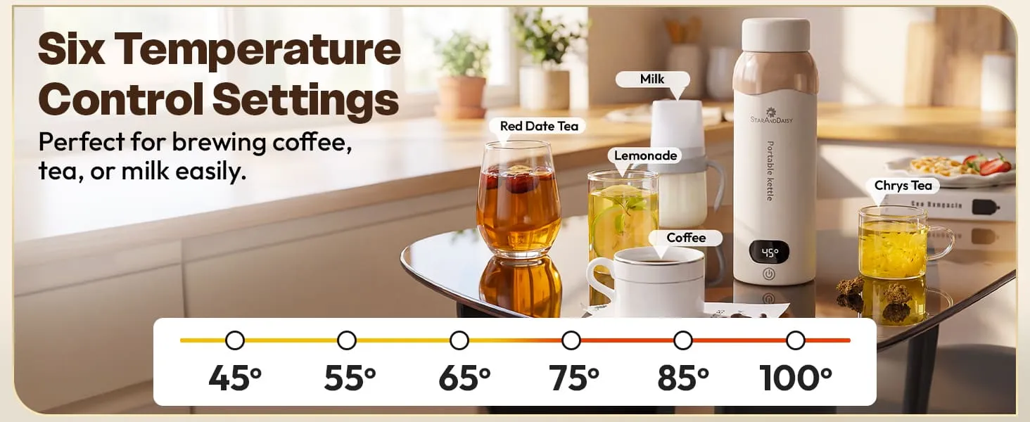 Electric Kettle