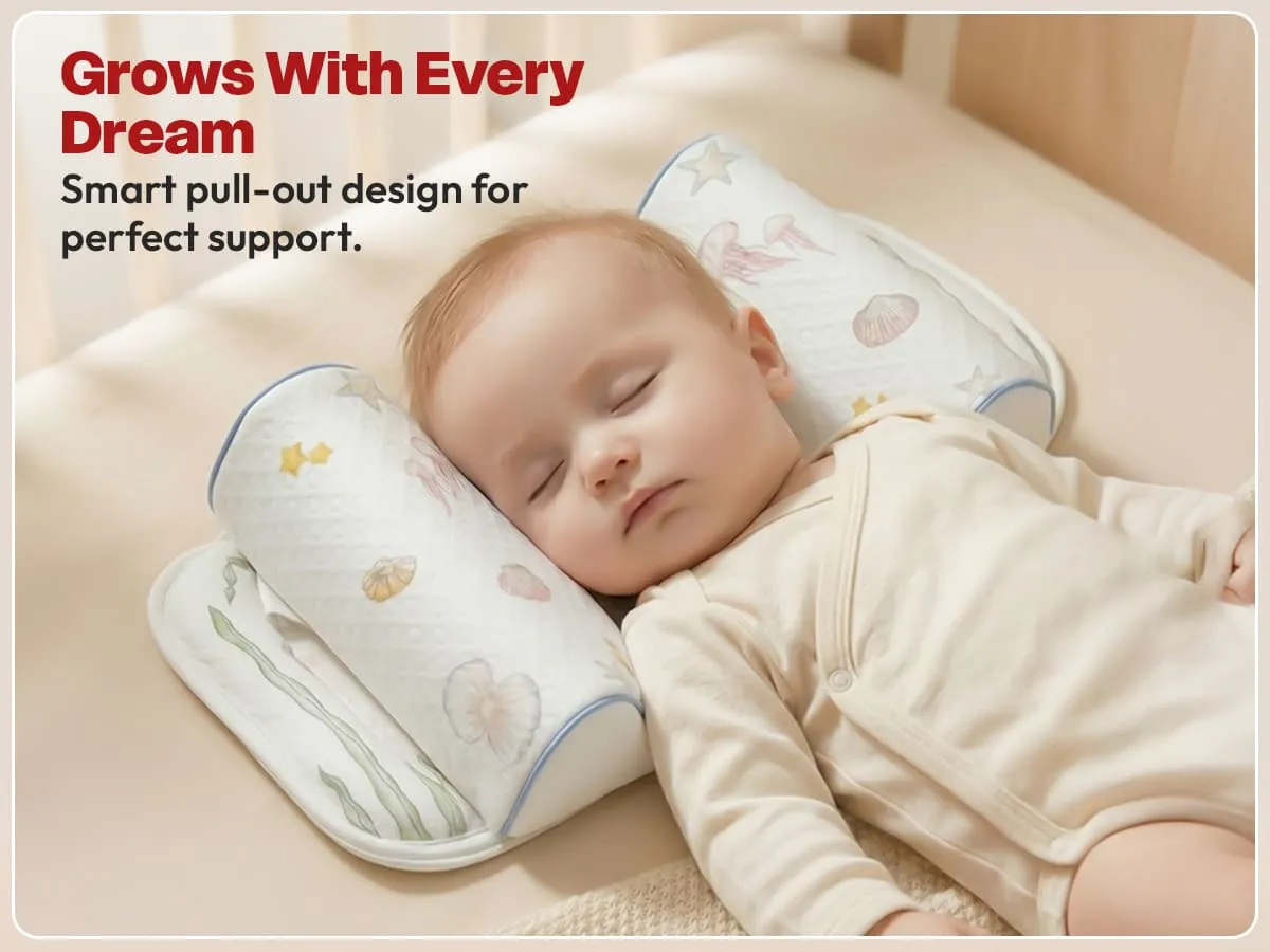 Pull Out Cushion Pull Out Cushion