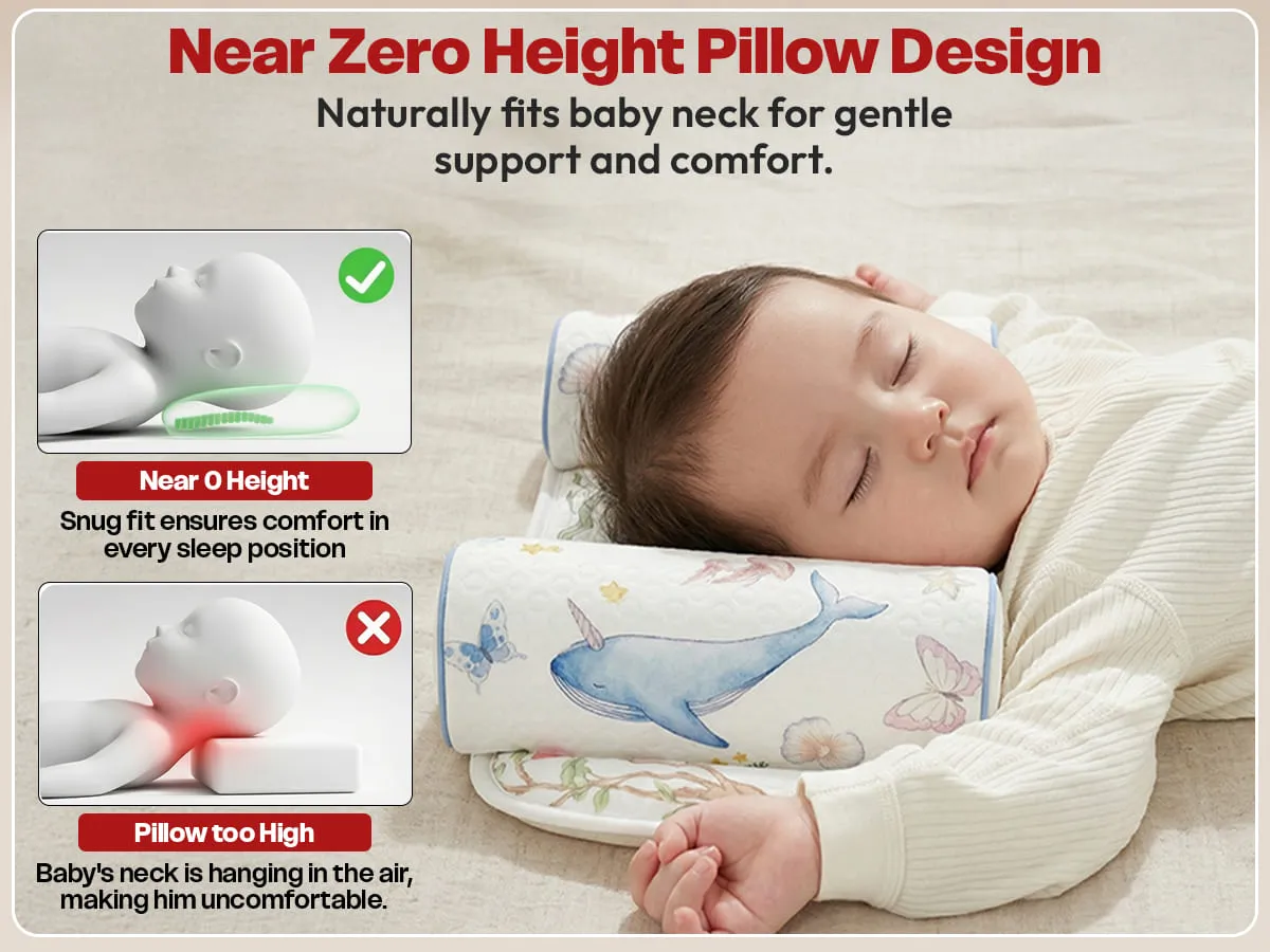 Pull Out Cushion Pull Out Cushion