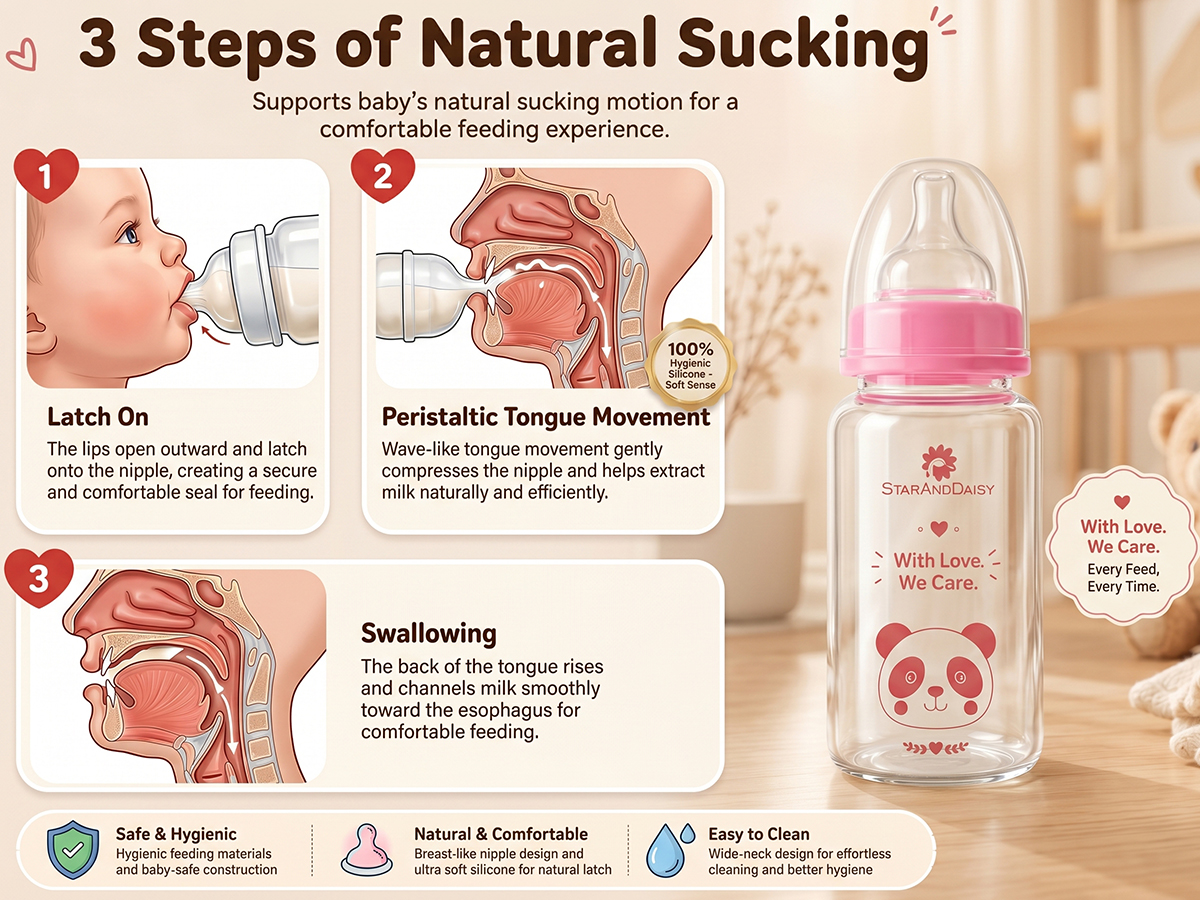StarAndDaisy Glass Baby Feeding Bottle with Wide Neck, Easy Clean and Sterilizer Safe Design