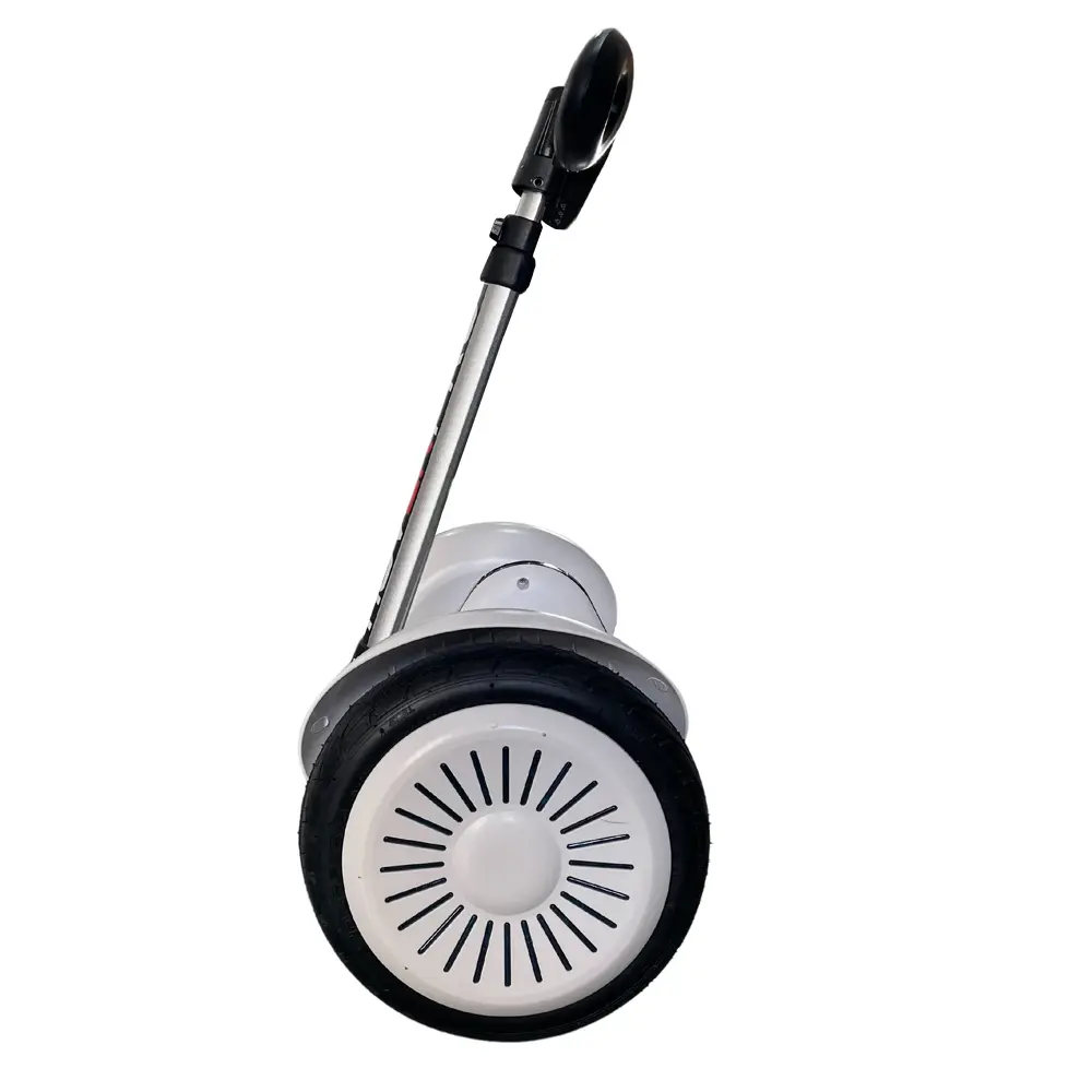 Hybrid Duo Miniseg White